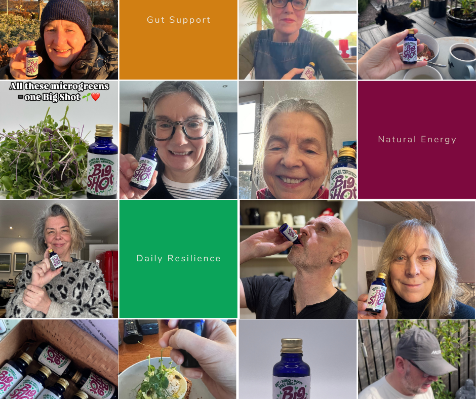 Big Shot – Fermented Microgreen Shots | 7 x 30ml (Selling Out Weekly)