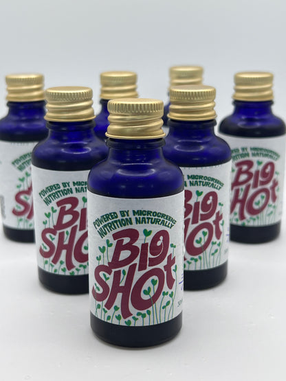 Big Shot – Fermented Microgreen Shots | 7 x 30ml (Selling Out Weekly)