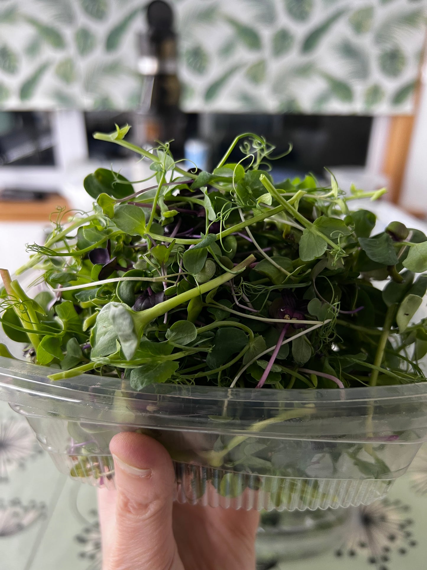 A Microgreens Fusion Mix | Enriched Being MG