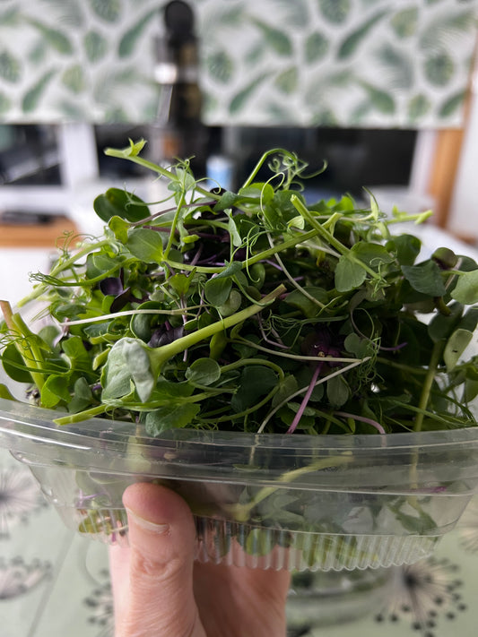 A Microgreens Fusion Mix | Enriched Being MG