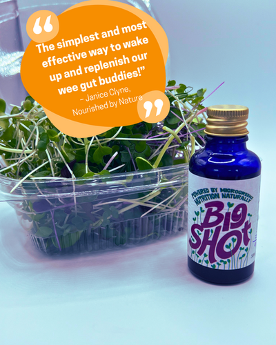 Big Shot – Fermented Microgreen Shots | 7 x 30ml (Selling Out Weekly)