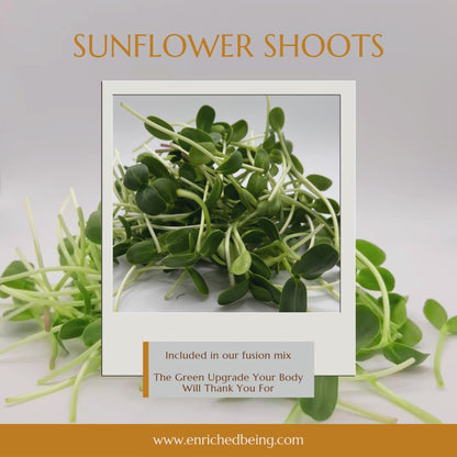 A Microgreens Fusion Mix | Enriched Being MG