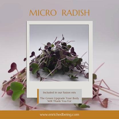 A Microgreens Fusion Mix | Enriched Being MG