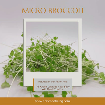 A Microgreens Fusion Mix | Enriched Being MG