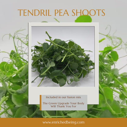 A Microgreens Fusion Mix | Enriched Being MG